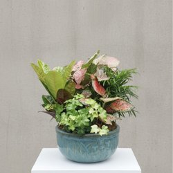 Aebersold Florist