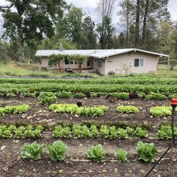 Sierra Friends Center