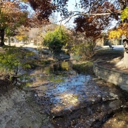 Lions Park