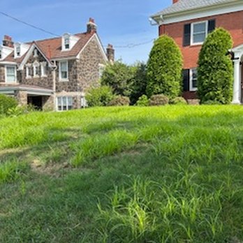 Weed Man - Pest Control Near Me - Cuddy, Pennsylvania