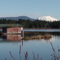 Mt. St Helens RV Resort - Mt St Helens RV Park Resort Silver Lake View