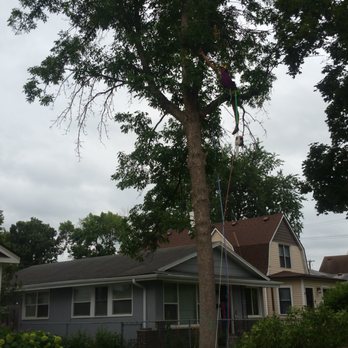 Best Earth - Tree Services Near Me Best Earth - Tree Services Near Me