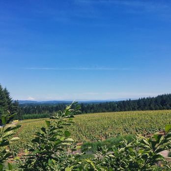 Ardiri Winery & Vineyards - Wineries Near Me - Cornelius, Oregon Ardiri Winery & Vineyards - Wineries Near Me - Cornelius, Oregon