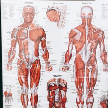 Pine Tree Acupuncture - Acupuncture Near Me - Fullerton, California Pine Tree Acupuncture - Acupuncture Near Me - Fullerton, California