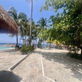 Buccanos Bar & Grill - Seafood Near Me - Cozumel, ROO Buccanos Bar & Grill - Seafood Near Me - Cozumel, ROO