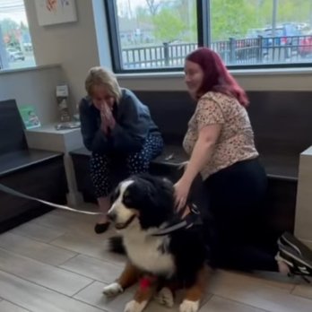 Green Acres Veterinary Center - Veterinarians Near Me - Tonawanda, New York Green Acres Veterinary Center - Veterinarians Near Me - Tonawanda, New York