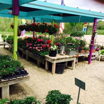Il Giardino - Nurseries & Gardening Near Me - Elizabeth, Illinois Il Giardino - Nurseries & Gardening Near Me - Elizabeth, Illinois