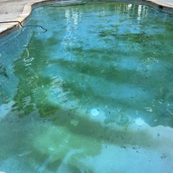 Pool Tech - Pool tech service after 8 weeks!