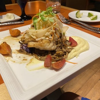 Ostra - Chef's special. Fish of the day. Grouper - New American Near Me - San Antonio, Texas Ostra - Chef's special. Fish of the day. Grouper - New American Near Me - San Antonio, Texas