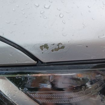 Nucar Tarbox Hyundai - Hood. Side panel. Rear window. Paint touch-up does not stick, meaning it's a primer issue. Too much peeling. - Car Dealers Near Me - North Kingstown, Rhode Island Nucar Tarbox Hyundai - Hood. Side panel. Rear window. Paint touch-up does not stick, meaning it's a primer issue. Too much peeling. - Car Dealers Near Me - North Kingstown, Rhode Island
