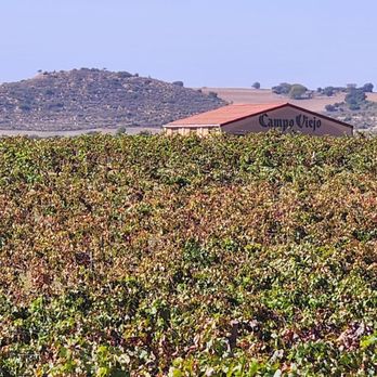 Bodegas Campo Viejo - Barn in middle of grape fields - Wineries Near Me - Logroño, LO
