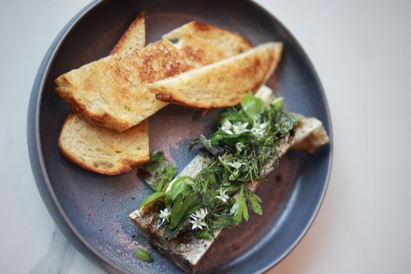 Canvas Café + Lounge by null