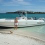 Photo of Chasin' Tail Tours
