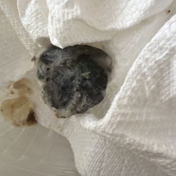 Black-eyed Pea - Hairball hidden in food! - Seafood Near Me - Parker, Colorado Black-eyed Pea - Hairball hidden in food! - Seafood Near Me - Parker, Colorado