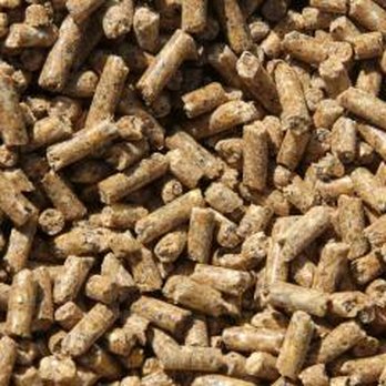 Miller's Feed & Supply - Miller's Feed & Supply LLC - Livestock Feed & Supply Near Me - Los Ranchos De Albuquerque, New Mexico Miller's Feed & Supply - Miller's Feed & Supply LLC - Livestock Feed & Supply Near Me - Los Ranchos De Albuquerque, New Mexico