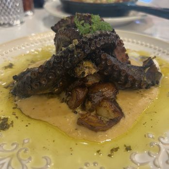 The Bloom Lounge - Spanish grilled octopus - Breakfast & Brunch Near Me - Plano, Texas The Bloom Lounge - Spanish grilled octopus - Breakfast & Brunch Near Me - Plano, Texas