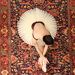 Main Street Oriental Rugs - Visit us to shop for beautiful, handmade, 100% wool area rugs in many sizes and colors!