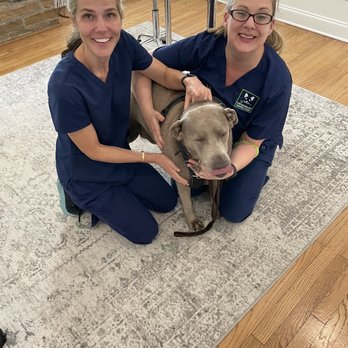 Veterinary Dental Care - These are the people I trust with my boy: Dr Shannon & Ashley (tech). - Veterinarians Near Me - Mount Pleasant, South Carolina Veterinary Dental Care - These are the people I trust with my boy: Dr Shannon & Ashley (tech). - Veterinarians Near Me - Mount Pleasant, South Carolina