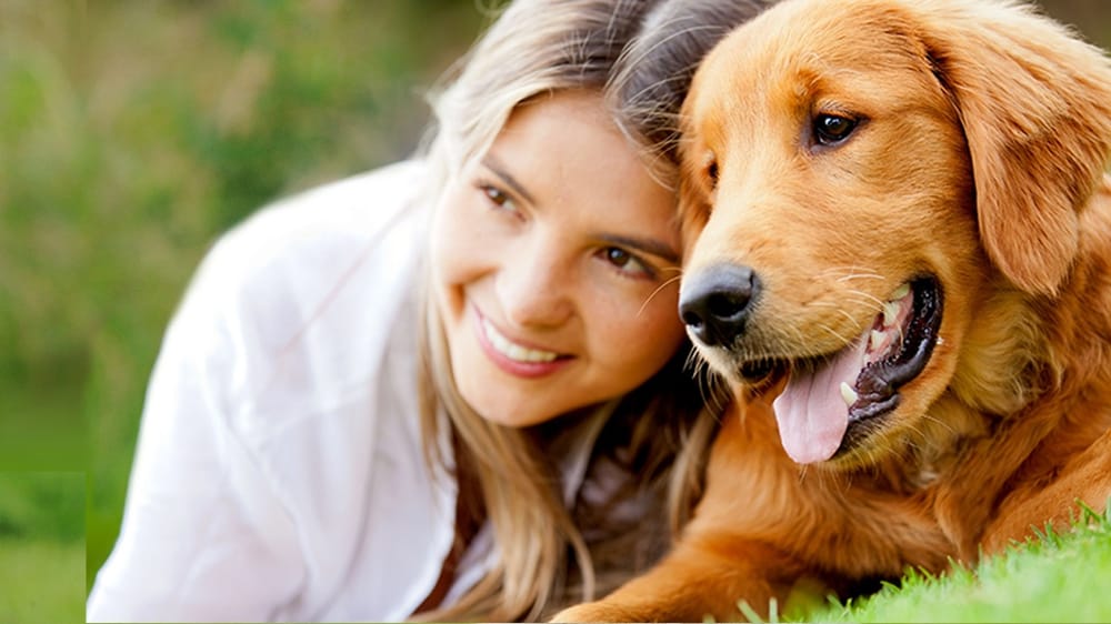 HARVEYS LAKE VETERINARY CLINIC Updated October 2024 4688 Memorial Hwy, Harveys Lake