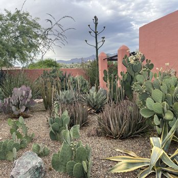 Arizona Inn - Lots of desert landscaping - Hotels Near Me - Tucson, Arizona Arizona Inn - Lots of desert landscaping - Hotels Near Me - Tucson, Arizona