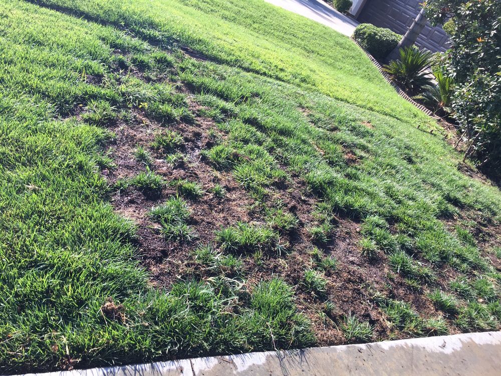 Slide of Alvarado Lawn Service