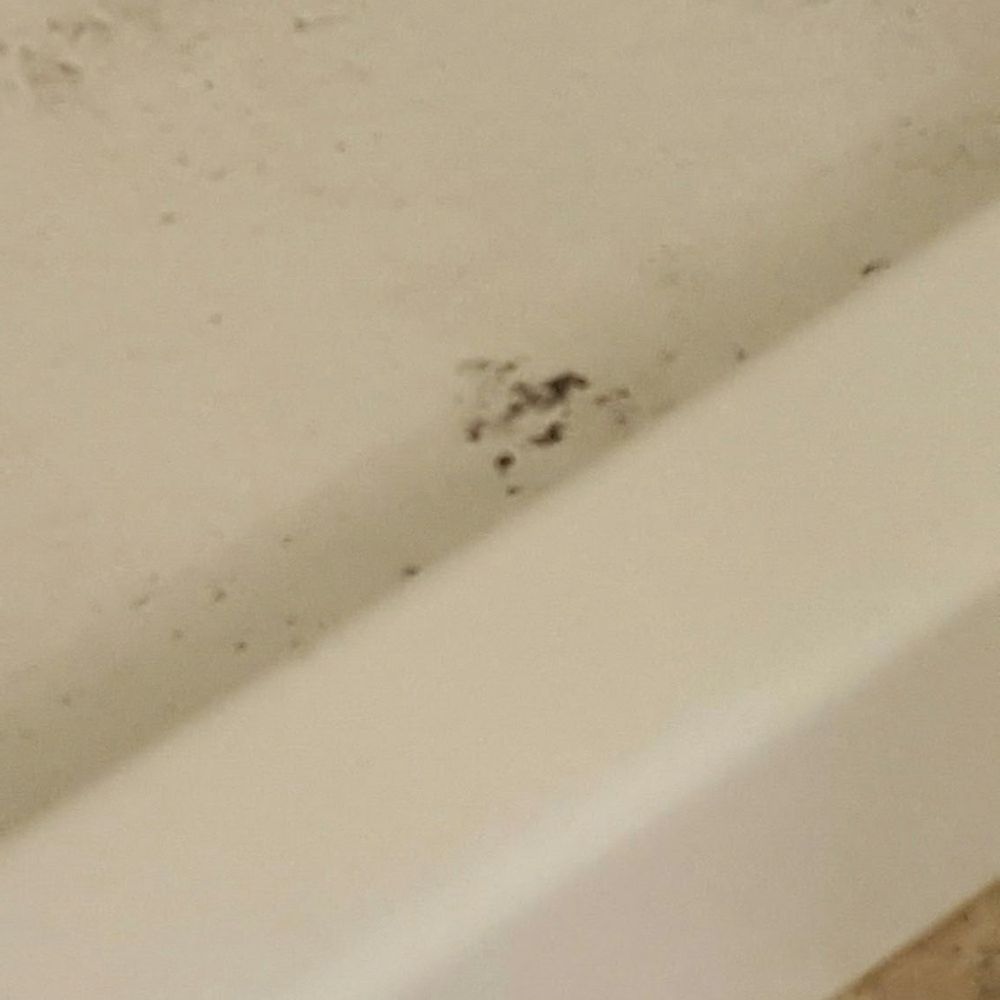 Jacobs Painting - Mud in my clean tub left from Robert Jacobs paint crew - Painters Near Me - Lancaster, Pennsylvania