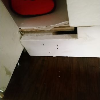 55 Flooring - Cabinet linen closet shelf damaged by installers..one of several - Flooring Near Me - Anaheim, California