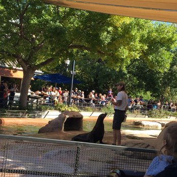 Denver Zoo - Sea lion show - Zoos Near Me - Denver, Colorado Denver Zoo - Sea lion show - Zoos Near Me - Denver, Colorado