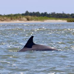Charleston Outdoor Adventures