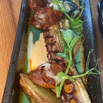 Avocado Grill - INCREDIBLE octopus appetizer - Tapas/Small Plates Near Me - West Palm Beach, Florida Avocado Grill - INCREDIBLE octopus appetizer - Tapas/Small Plates Near Me - West Palm Beach, Florida