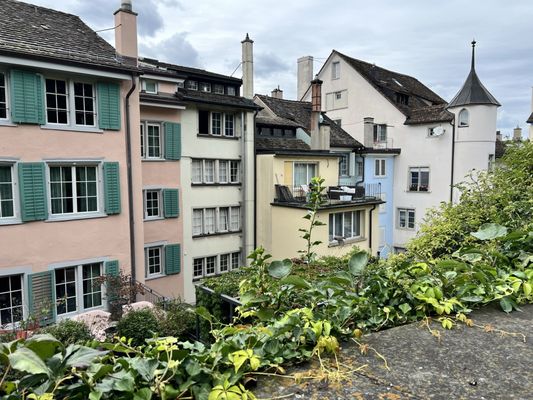 Lindenhof by null