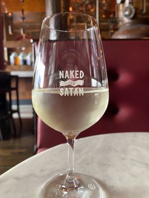 Naked For Satan by null