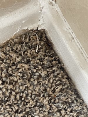 Avistar OnThe Boulevard