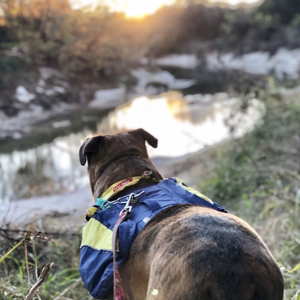 Meyer Park - My body guard keeps me out of harm's way. - Parks Near Me - Spring, Texas