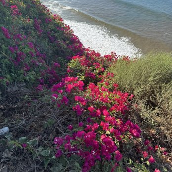 Ocean Trails - Hiking Near Me - Rancho Palos Verdes, California