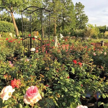 Valbo - Nurseries & Gardening Near Me - Montreal, Quebec Valbo - Nurseries & Gardening Near Me - Montreal, Quebec