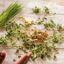 CitySide Organics