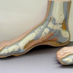 Lake Ridge Foot & Ankle Center