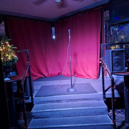 a stage with a christmas tree in the background