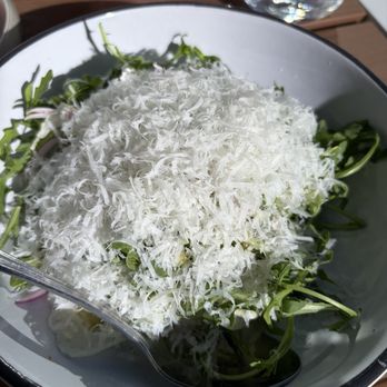 Stellina Pizzeria - Arugula fennel salad - Pizza Near Me - Tysons, Virginia Stellina Pizzeria - Arugula fennel salad - Pizza Near Me - Tysons, Virginia