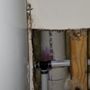 Photo of Monster Drain Cleaning Services