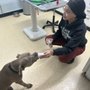 Photo of Hickman Mills Animal Hospital