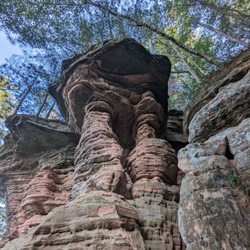 Witches Gulch - Toad