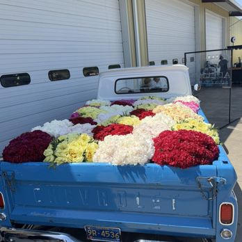 Adelman Peony Gardens - Nurseries & Gardening Near Me - Salem, Oregon