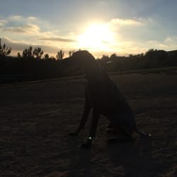 San Elijo Hills Dog Park - If you don't like the park the view makes up for it.