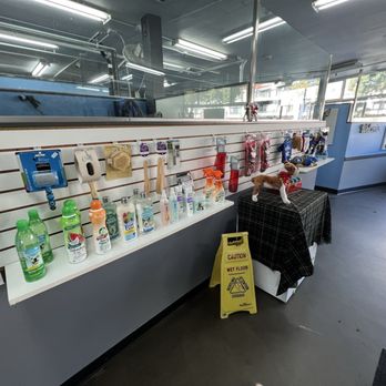 The Paw Spa LB - Shampoo, soap and brushes - Pet Groomers Near Me - Long Beach, California The Paw Spa LB - Shampoo, soap and brushes - Pet Groomers Near Me - Long Beach, California