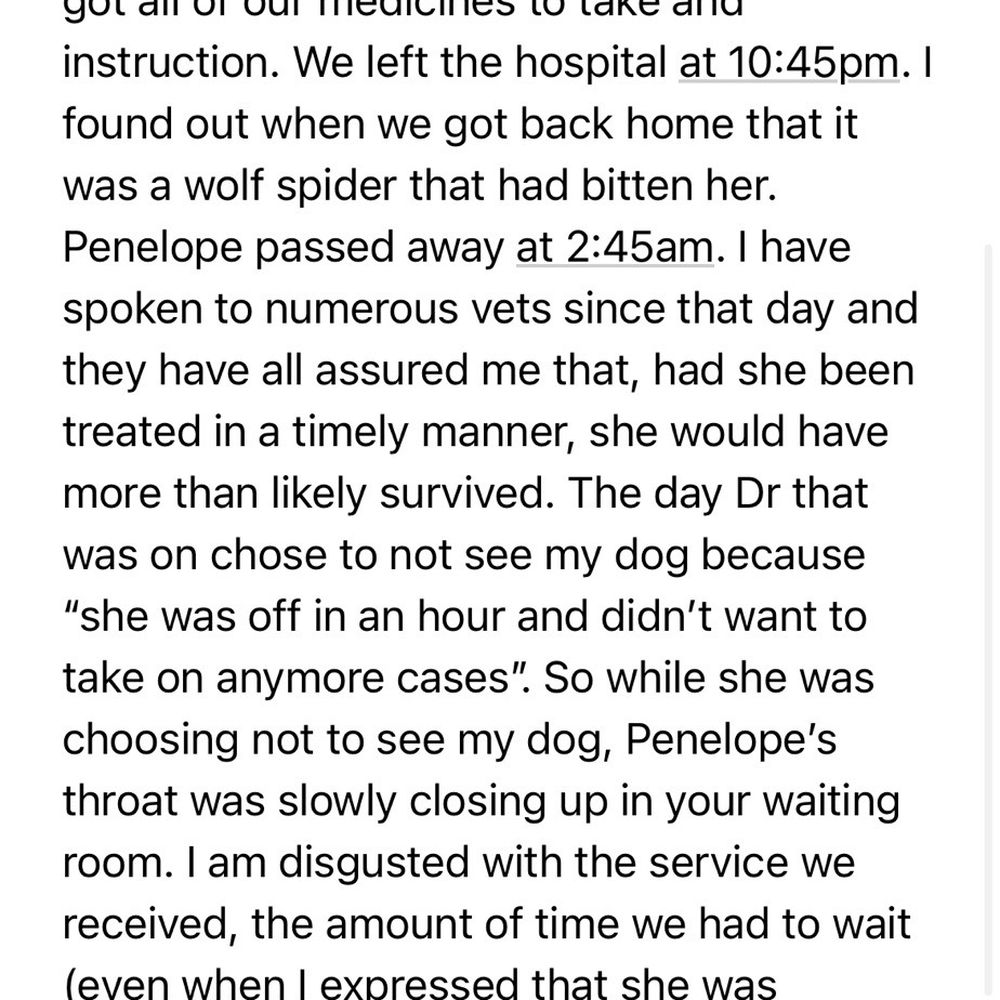 Taylor Veterinary Emergency - Veterinarians Near Me - Turlock, California Taylor Veterinary Emergency - Veterinarians Near Me - Turlock, California