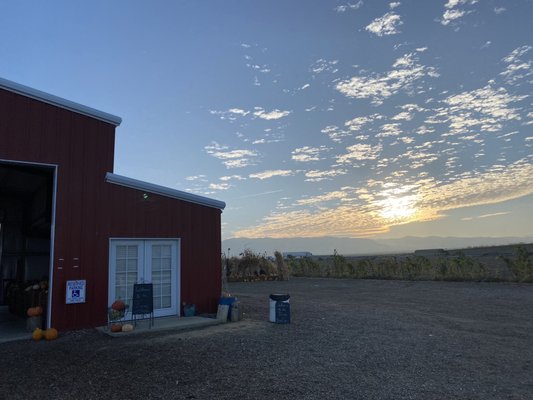Del Bosque Farms by null