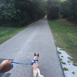 Constitution Trail - Almost to the bridge over Linden St.