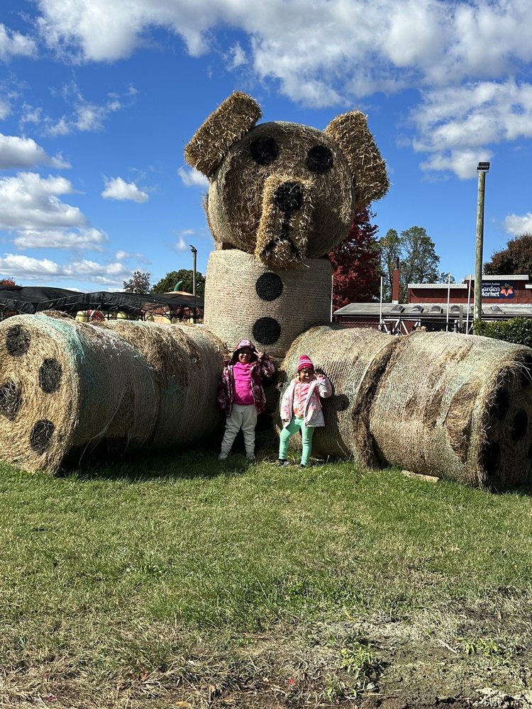 RESTON FARM GARDEN MARKET Updated August 2024 10 Reviews 10800 Baron Cameron Ave, Reston